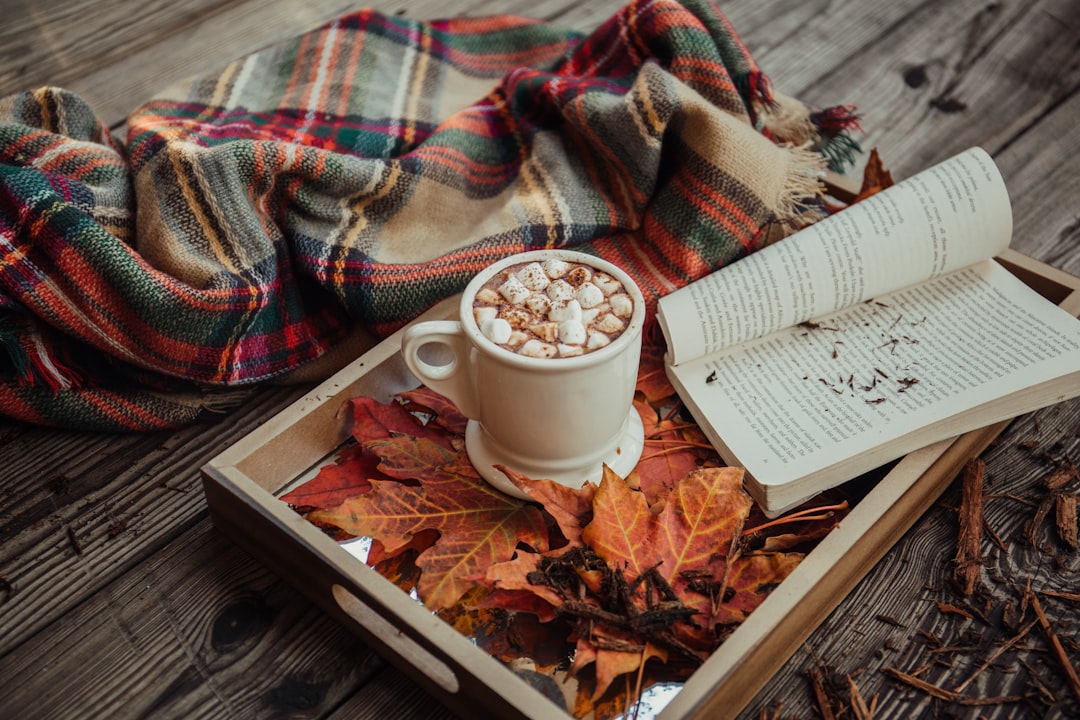 Herbstliches Stillleben mit heißem Kakao, Marshmallows, aufgeschlagenem Buch und Wolldecke auf Holzterrasse