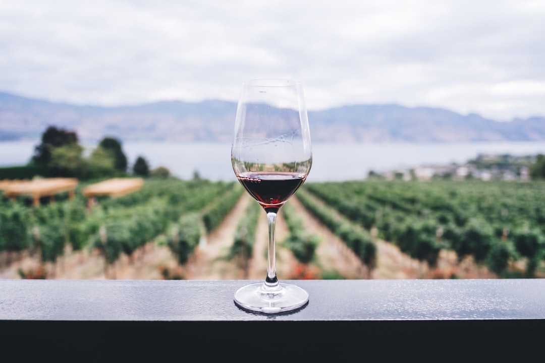 Ein Glas Rotwein steht auf einem Geländer vor weitläufigen Weinreben und Bergen an einem Gewässer