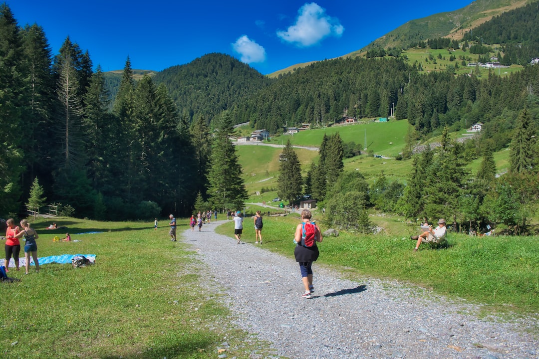 Wanderer auf einem breiten Schotterweg in einem sonnigen, grünen Alpental vor bewaldeten Berghängen